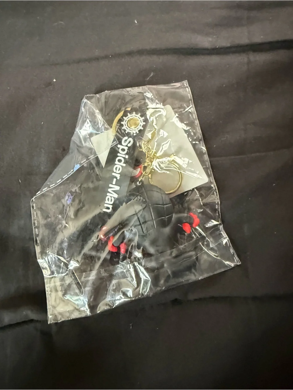N/A keychain spider